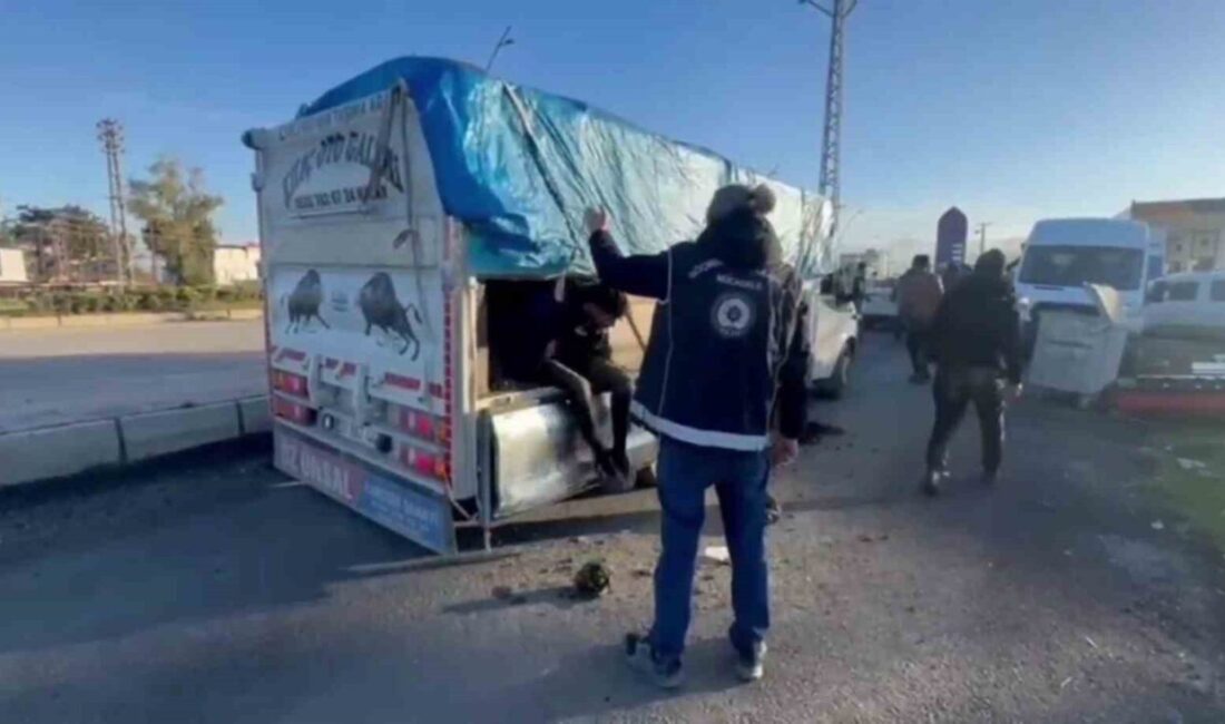 Hatay’da polis ekipleri tarafından gerçekleştirilen operasyonda; üstü hayvan gübresiyle kamufle