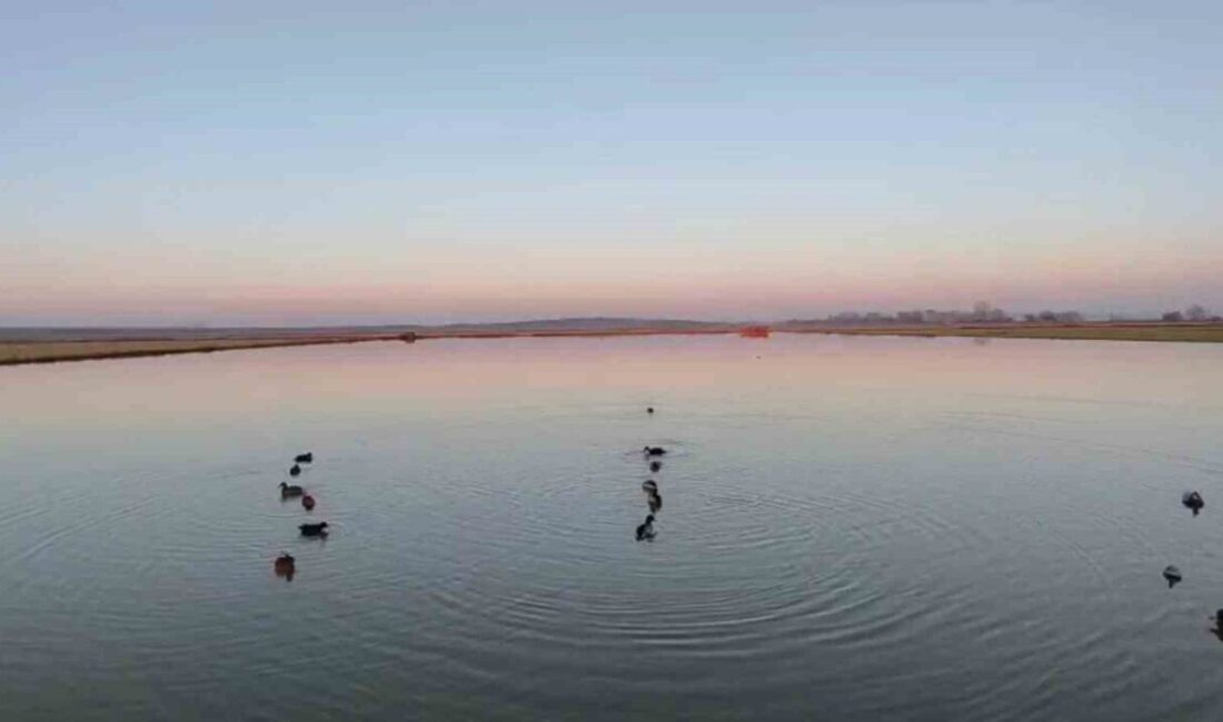 Edirne’nin Uzunköprü ilçesinde kaçak avcılara yönelik denetimlerde 4 kişiye toplam