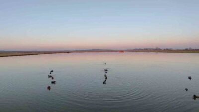 Edirne’nin Uzunköprü ilçesinde kaçak avcılara yönelik denetimlerde 4 kişiye toplam