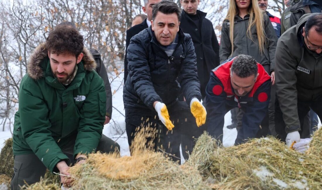 Tunceli Valisi Şefik Aygöl, zorlu kış şartlarında yaban hayvanları için