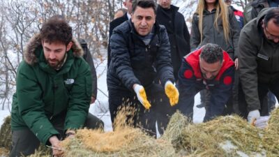 Tunceli Valisi Şefik Aygöl, zorlu kış şartlarında yaban hayvanları için