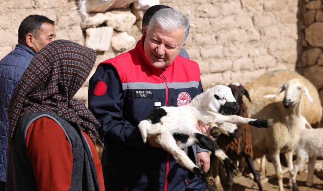 Tarım ve hayvancılıkta üretimi artırmak, kırsalda yaşamı güçlendirmek ve köyden
