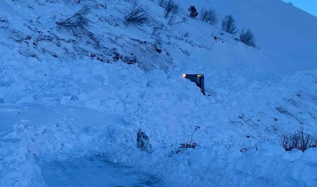 Artvin Valisi Dr. Turan Ergün, Ardanuç’taki çığ bölgesinde 5 ayrı