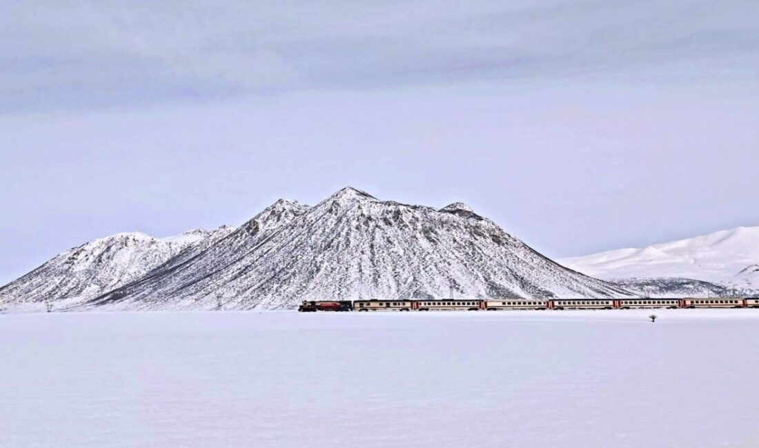 Türkiye’nin en fazla kar alan illerinin başında gelen Bitlis’te, Van