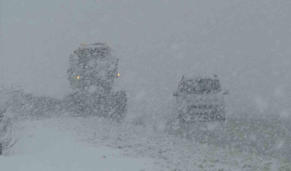 Van’da akşam saatlerinde etkili olan kar yağışı ve sis, 2
