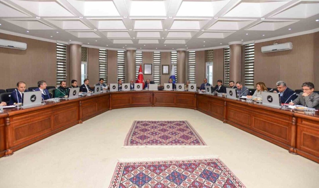 Van Yüzüncü Yıl Üniversitesi (Van YYÜ) Danışma Kurulu Toplantısı, “Van