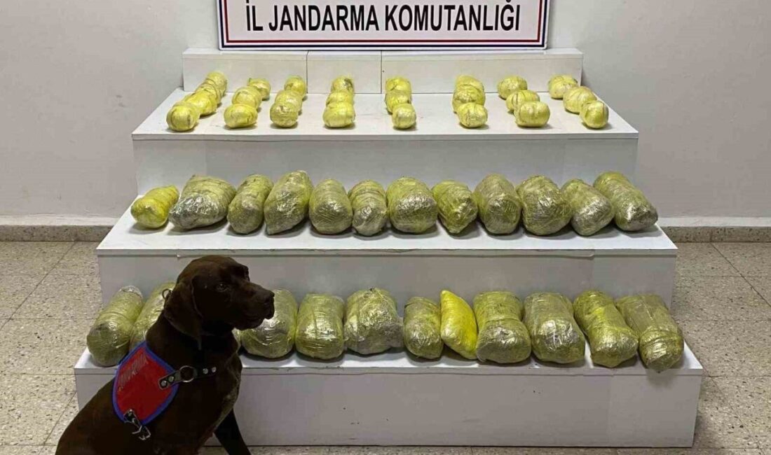 Van’ın Başkale ilçesinde jandarma ekiplerince yürütülen çalışmalar sonucunda 42 kilo