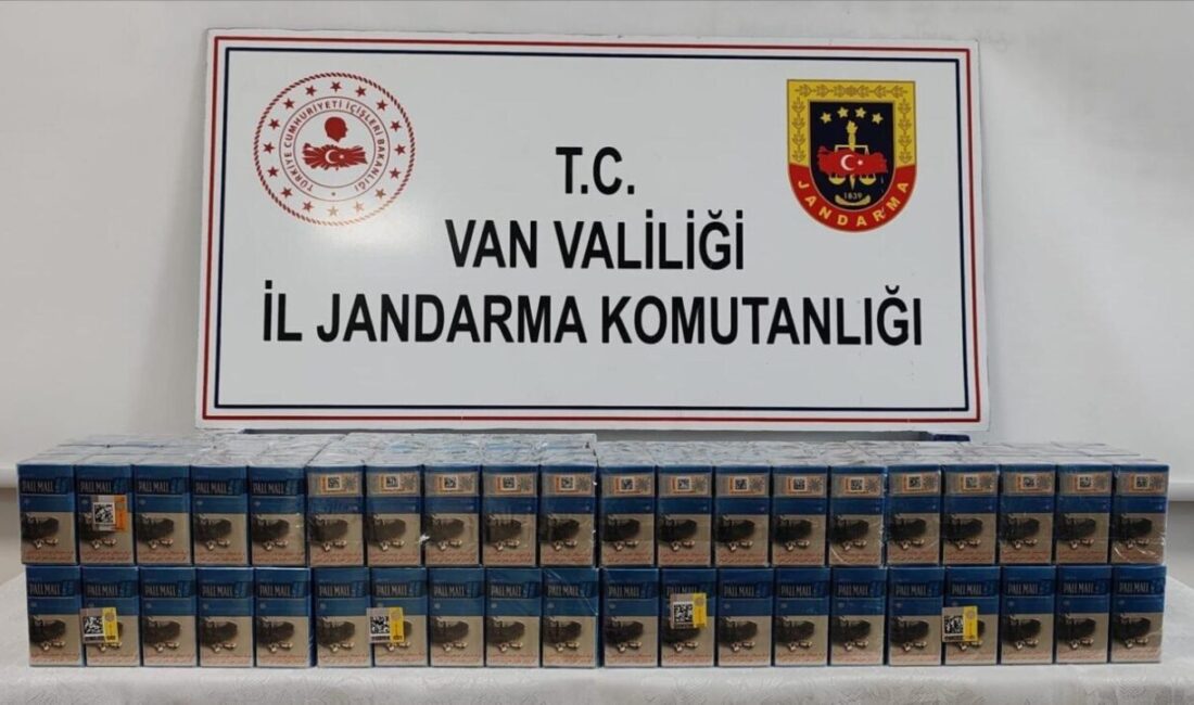 Van’ın Çaldıran ilçesinde jandarma ekiplerince yürütülen çalışmalar sonucunda 720 paket