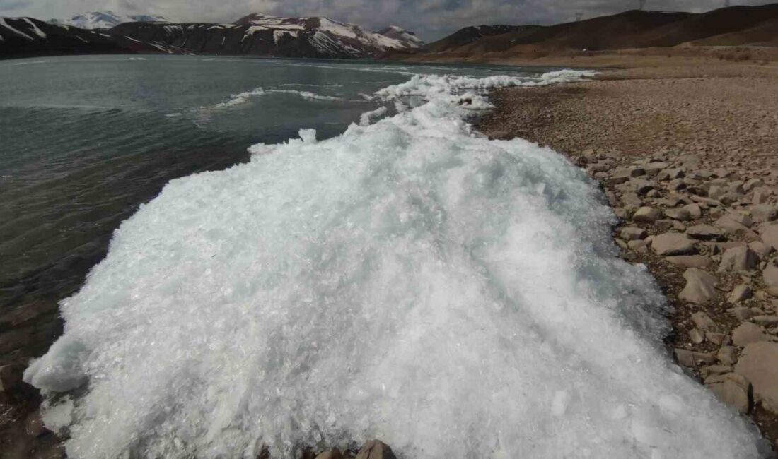 Sibirya soğuklarının hakim olduğu Van’da Zernek Barajı’ndaki dalgalar donarak kristalleşti.