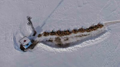 Van’ın Çatak ilçe kırsalında besiciler kar yağışı ve soğuk havaya