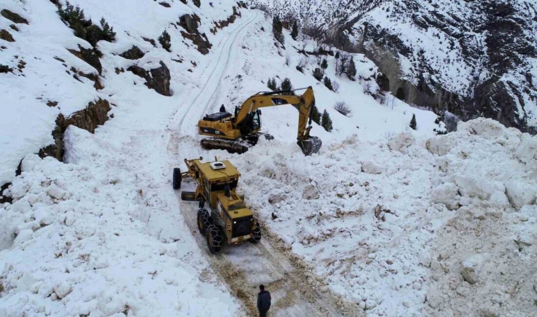 Van’ın Çatak ilçesinde 13 gün önce düşen çığ nedeniyle ulaşıma