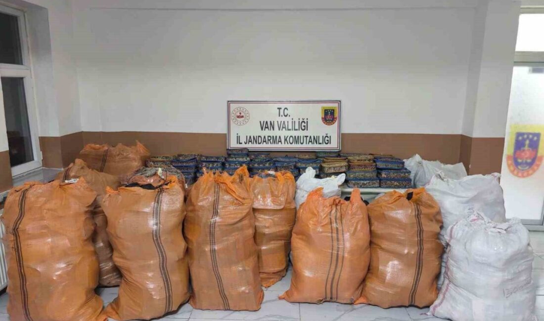 Van’ın Başkale ilçesinde jandarma ekiplerince yürütülen çalışmalar sonucunda gümrük kaçağı