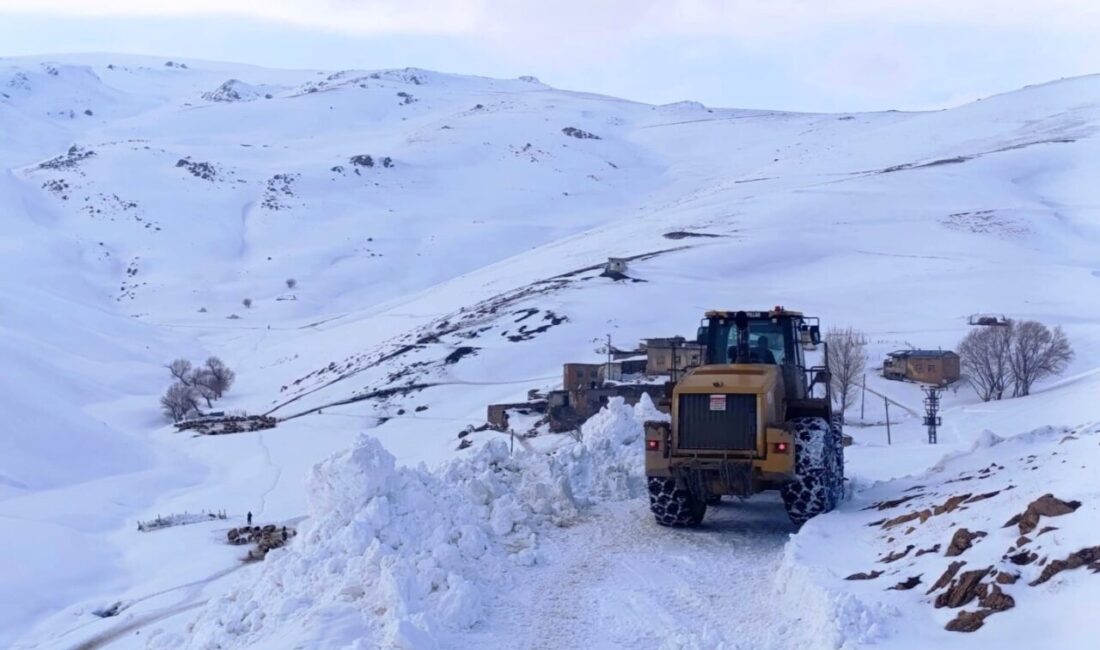 Van’da etkili olan kar yağışından dolayı kapanan 34 yerleşim yerinin