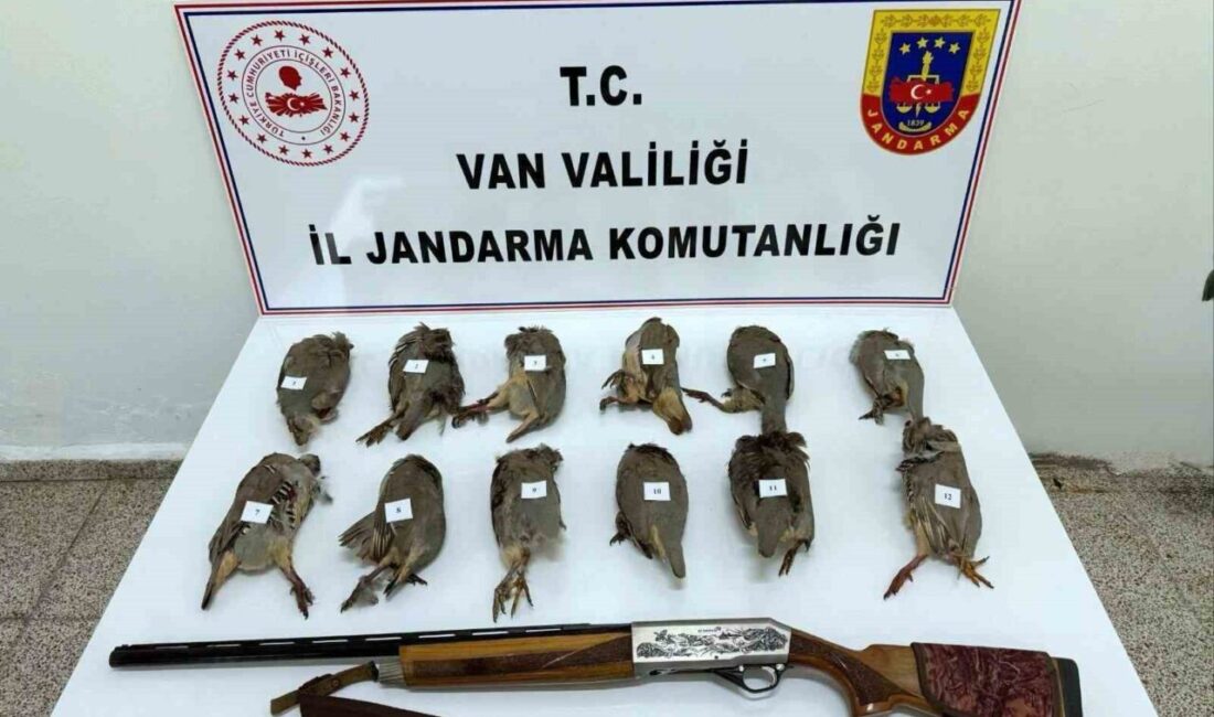 Van’ın Erciş ilçesinde keklik avlayan kişiye 81 bin 441 TL