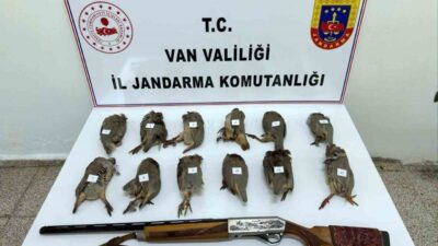 Van’ın Erciş ilçesinde keklik avlayan kişiye 81 bin 441 TL