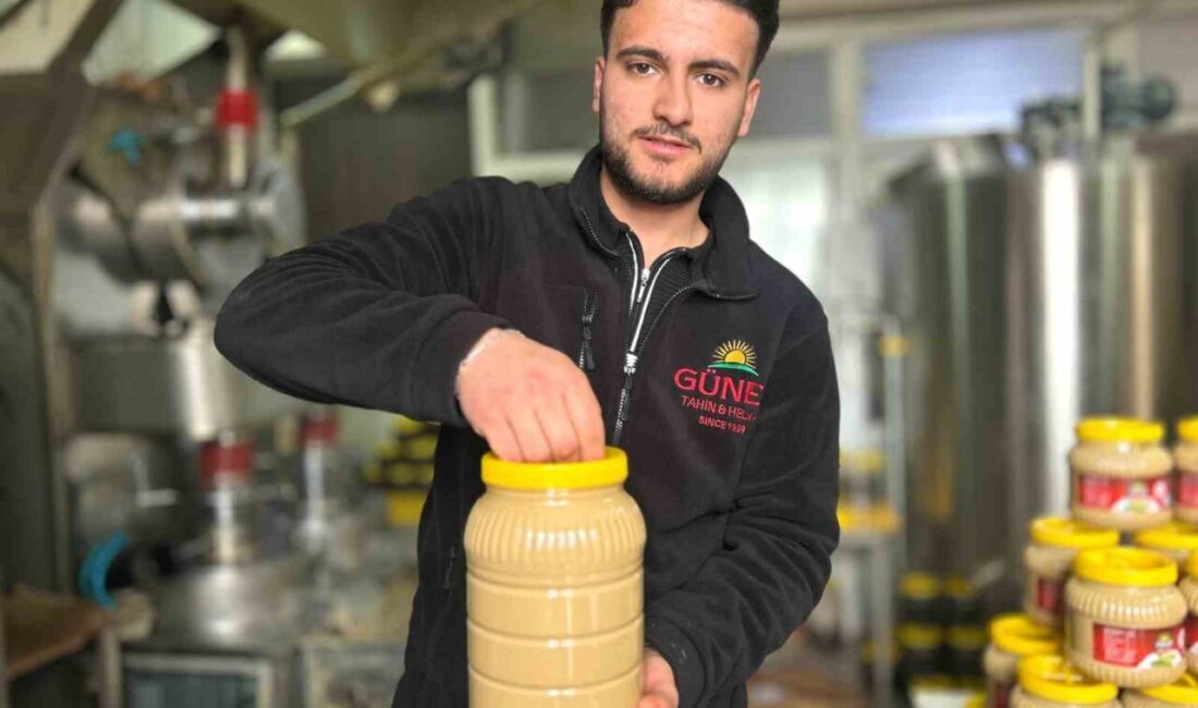 Van’da sahur sofralarının vazgeçilmezleri arasında yer alan tahinin üretimi yaklaşan