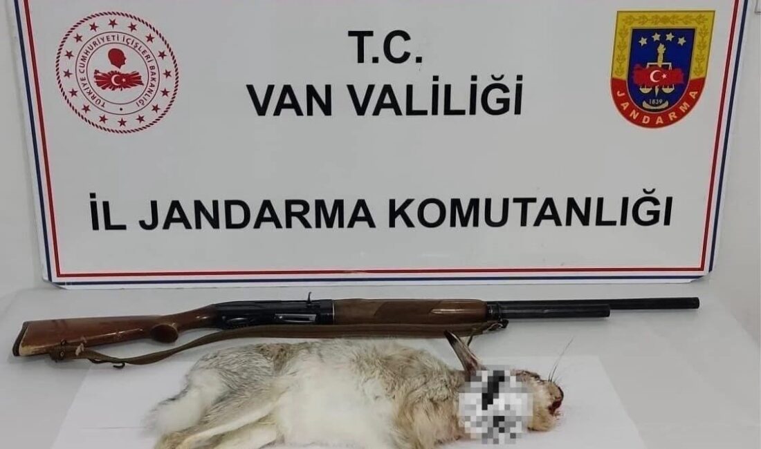 Van’ın Muradiye ilçesinde yaban tavşanı avlayan şahsa 29 bin 746