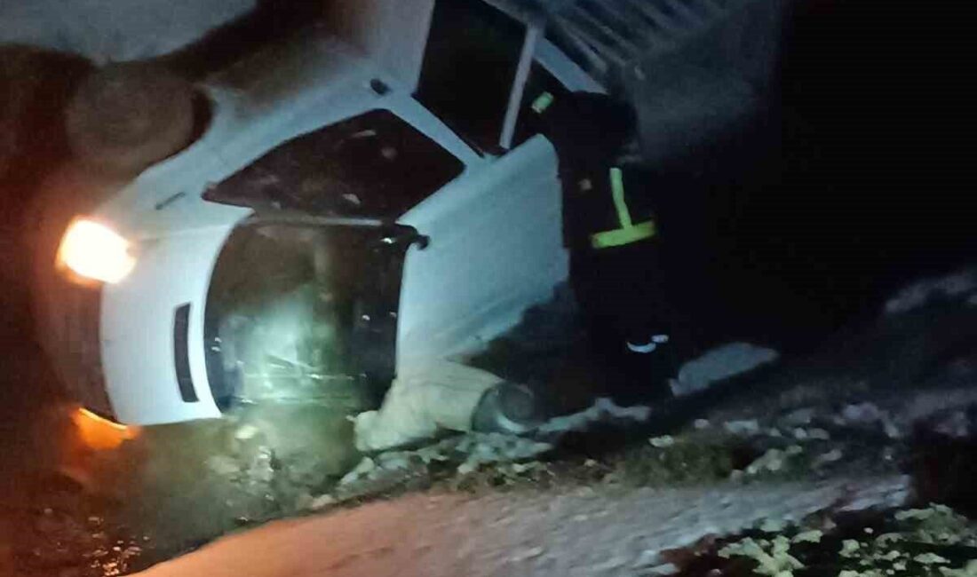 Van’ın Gürpınar ilçesinde kamyonetin kaza yapması sonucu 3 kişi yaralandı.