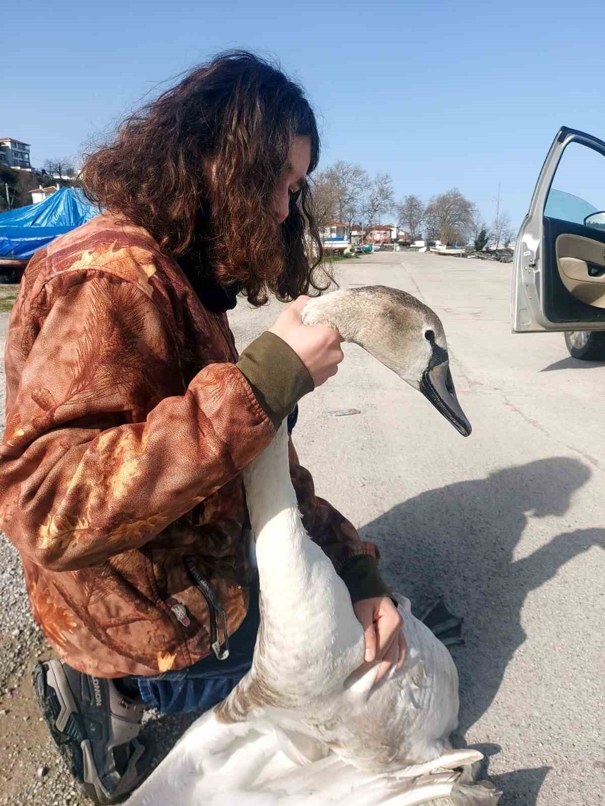 Kastamonu’nun İnebolu ilçesinde balık tutan vatandaşlar tarafından yaralı halde bulunan