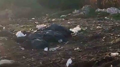 Bolu’da Hamzabey köyünün üst kısmında bulunan ormanlık alanındaki çöp dolu