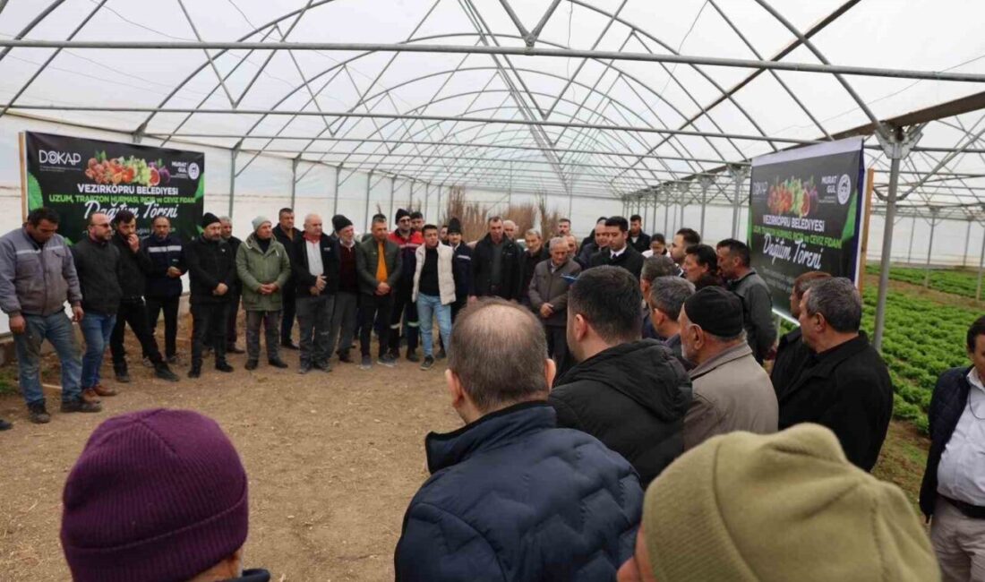 Samsun’un Vezirköprü ilçesinde “Meyveciliği Yayma ve Geliştirme Projesi” kapsamında 12