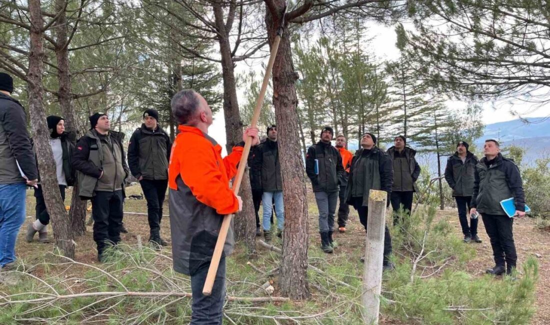 Amasya Orman Bölge Müdürlüğü tarafından, yeni göreve başlayan orman mühendislerine