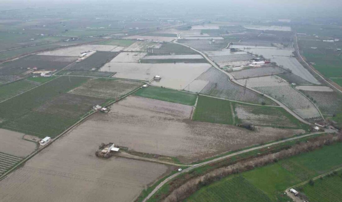 Manisa’da etkili olan yağışların ardından konuşan Şehzadeler Ziraat Odası Başkanı