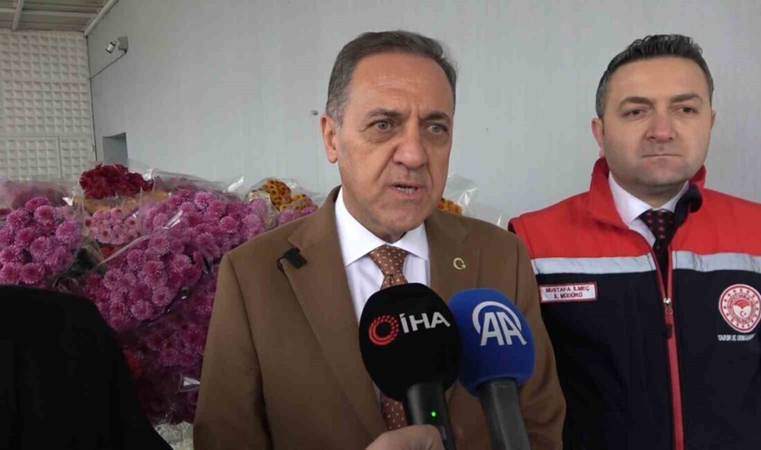Türkiye’nin kesme çiçek üretiminde önde gelen illerinden Yalova’da, 14 Şubat