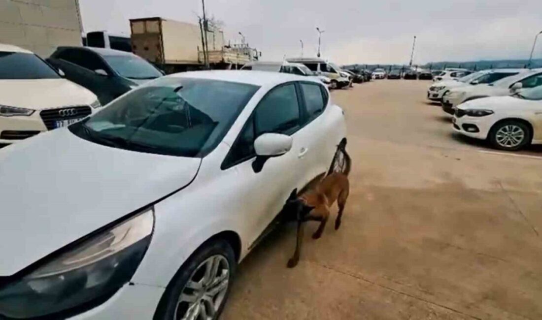 Yalova’da polis ekiplerince düzenlenen uyuşturucu operasyonunda gözaltına alınan 4 şüpheliden