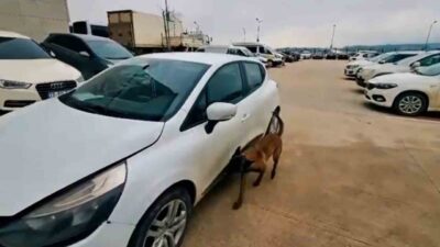 Yalova’da polis ekiplerince düzenlenen uyuşturucu operasyonunda gözaltına alınan 4 şüpheliden