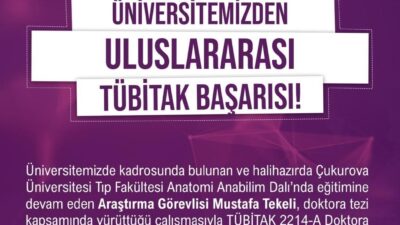 Niğde Ömer Halisdemir Üniversitesi kadrosunda görev yapan ve halen Çukurova