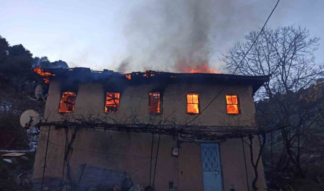 Bursa’nın Gürsu ilçesinde bir evde çıkan yangında 83 yaşındaki kadın