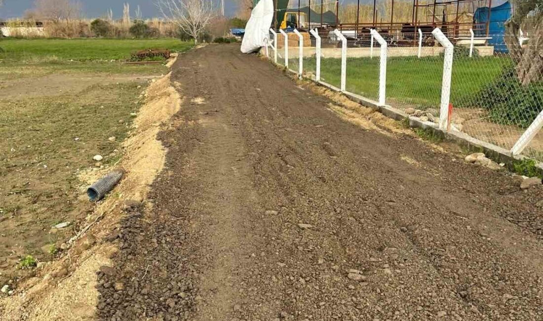 Yenipazar Belediyesi, vatandaşlardan gelen talepler doğrultusunda ilçe genelindeki tarla, bahçe