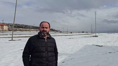 Yoğun kış şartlarının yaşandığı Sivas’ta aç kalan bir kurt, yerleşim