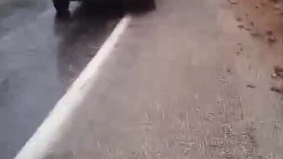 Adana’da 4 öğretmene mezar olan Saimbeyli Tırtat mevkiinde yine yola