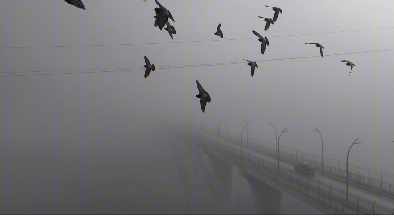 Karabük ile Safranbolu’yu birbirine bağlayan Kanyon Köprüsü’nün bazı bölümlerinin yoğun