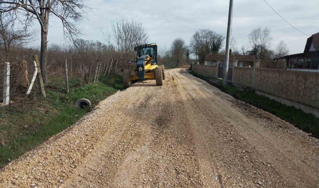 DÜZCE (İHA) – Düzce’de Merkez ilçeye bağlı Karadere Hasanağa köyünde,