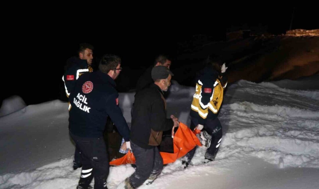 Erzurum’un Oltu ilçesinde yolların kapalı ve elektriklerin kesik olması nedeniyle