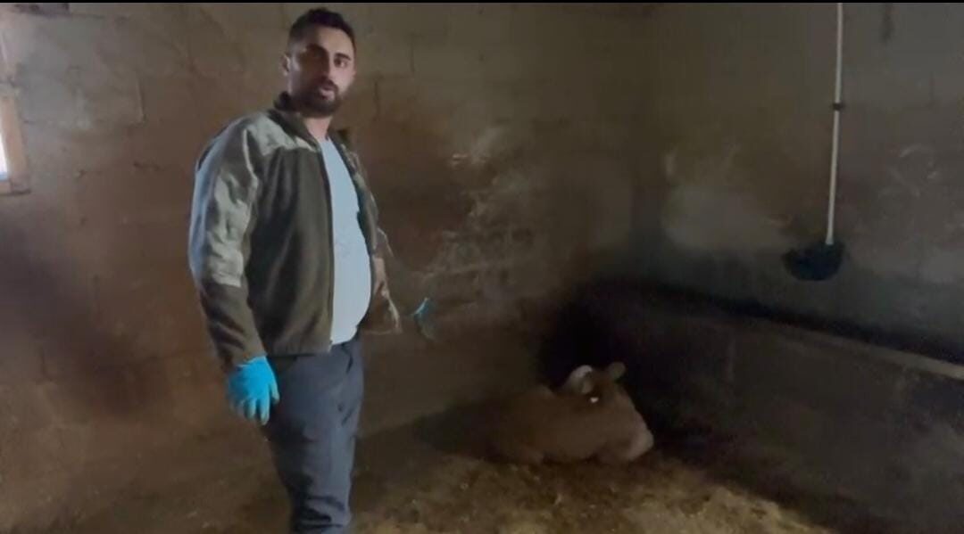 Yozgat’ta ahırlara yıldırım düştü, 3 büyükbaş hayvan telef oldu. Sarıkaya