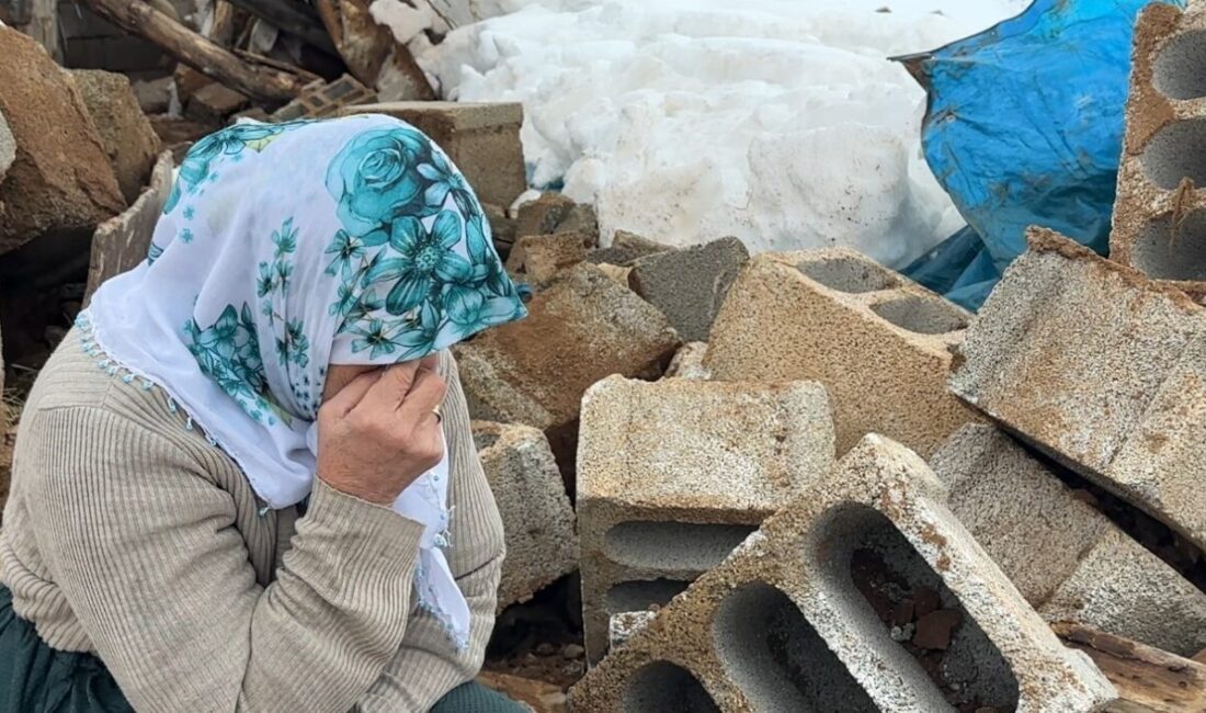 HAKKARİ (İHA) – Hakkari’nin Yüksekova ilçesinin dondurucu soğuğunda yalnız başına