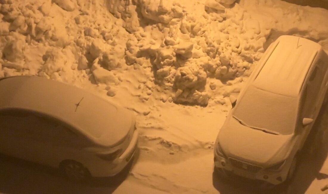 Hakkari’nin Yüksekova ilçesinde etkili olan kar yağışı ve yoğun sis,