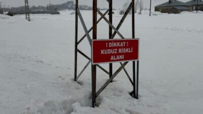 Hakkari’nin Yüksekova ilçesinde bir köydeki eşekte kuduz vakası tespit edilmesi