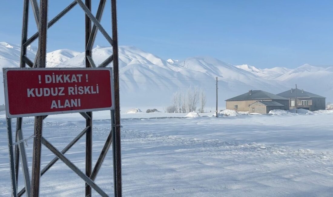 Hakkari’nin Yüksekova ilçesine bağlı Kadıköy köyünde bir eşekte kuduz tespit