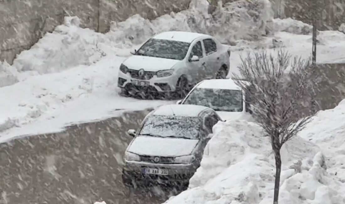 Hakkari’nin Yüksekova ilçesinde akşam saatlerinde lapa lapa yağaş kar kısa