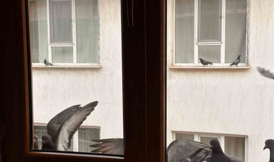 Muş’ta ortaokul öğrencisi Zeynep Neva Demir, dondurucu soğukta aç kalan