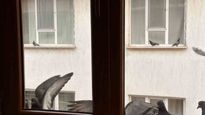 Muş’ta ortaokul öğrencisi Zeynep Neva Demir, dondurucu soğukta aç kalan