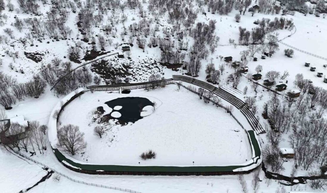 Bingöl’ün Solhan ilçesinde yer alan Yüzen Adalar, etkili olan kar