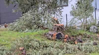 Cumhuriyet Halk Partisi’nin görevinden istifa eden Milas İlçe Başkanı Ahmet