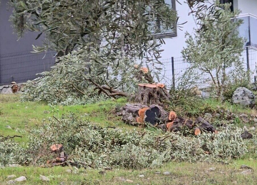Cumhuriyet Halk Partisi’nin görevinden istifa eden Milas İlçe Başkanı Ahmet