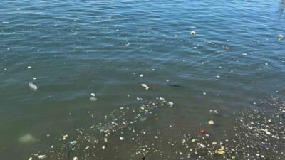 Zonguldak kent merkezinde dalgalarla birlikte kıyıya vuran plastik atıklar çevre